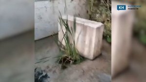 Проблему скандальной КНС на Правобережье «решили» сбросом фекалий в водоём