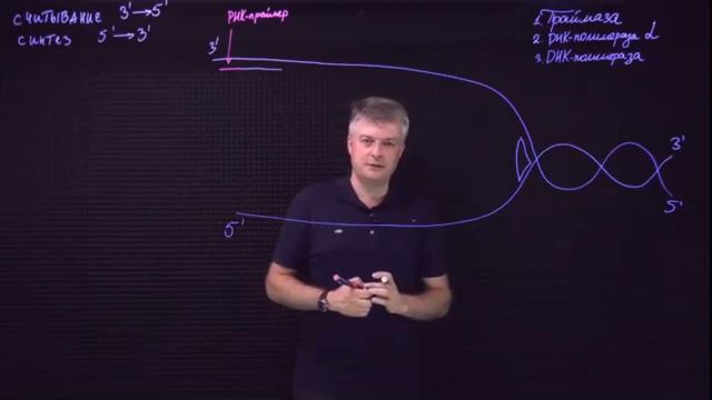 Биохимия: Репликация и Репарация