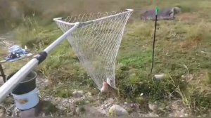 Отдых, рыбалка на реке Вуоксе..mp4