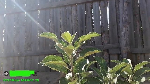 Как легко сделать прозрачную воду в бассейне/Температура воды/Как нагреть бассейн/Перекись в бассей смотреть онлайн