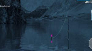 My Fishing World : Ротан (Ежедневное Задание, Река Колорадо) #myfishingworld