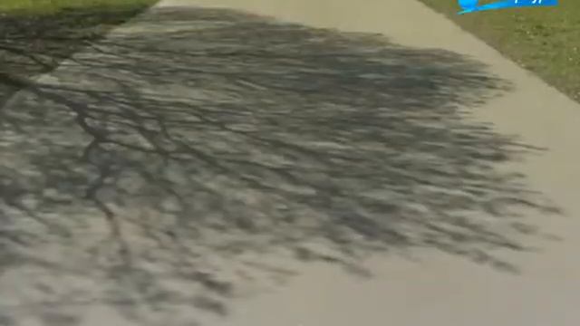 Невская застава  Малые родины большого Петербурга