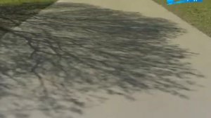 Невская застава / «Малые родины большого Петербурга»