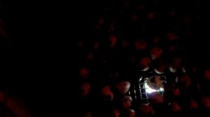 Неоплод ПЕРЕПЕЛИНЫХ яиц / как проверить яйцо /овоскопирование яиц