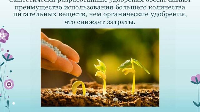 Секреты красоты растений