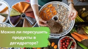 Можно ли пересушить продукты в дегидраторе (сушилке)?