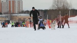 Гонка ездовых собак "Юниорка"