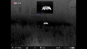 Кабанчики, Tikka T3x .308