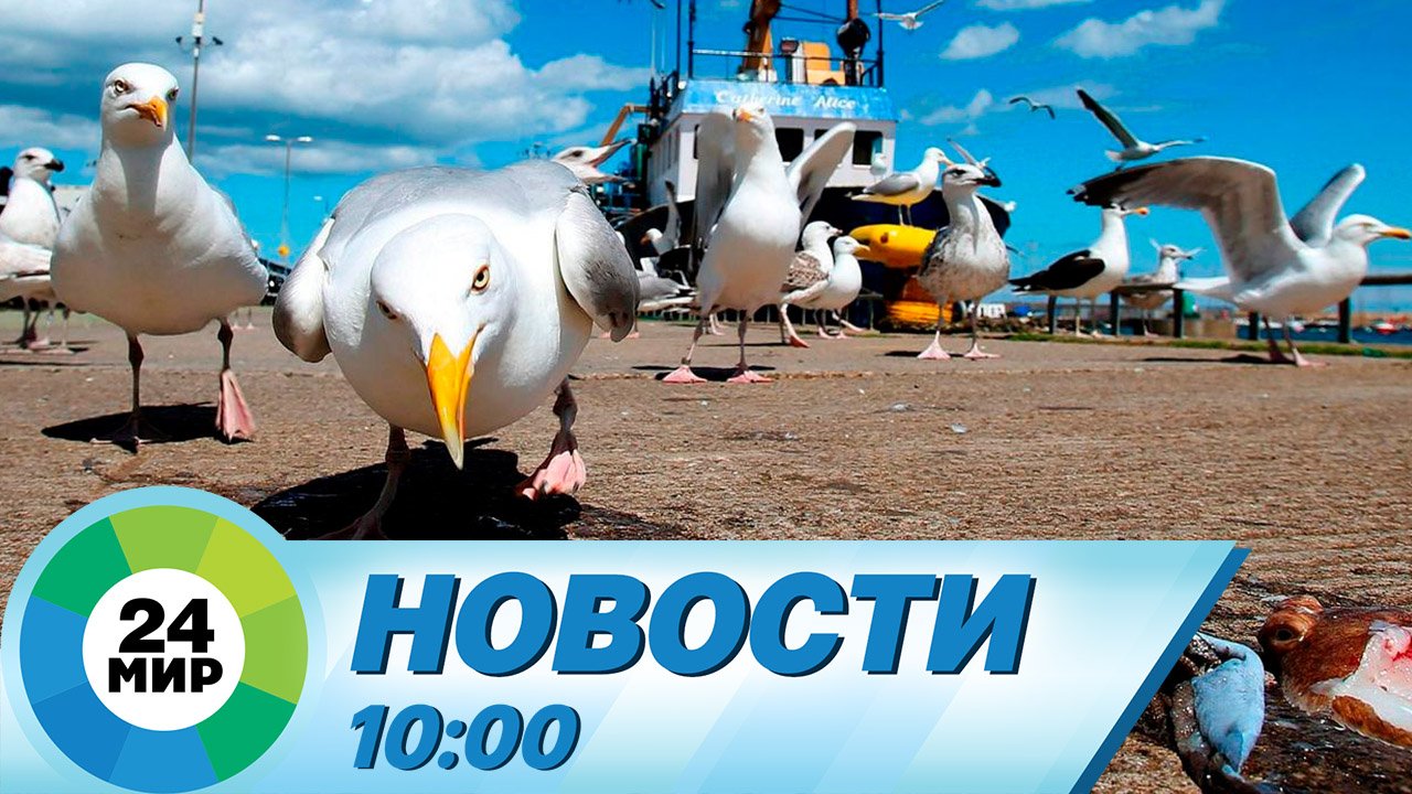 Новости 10:00 от 07.06.2023