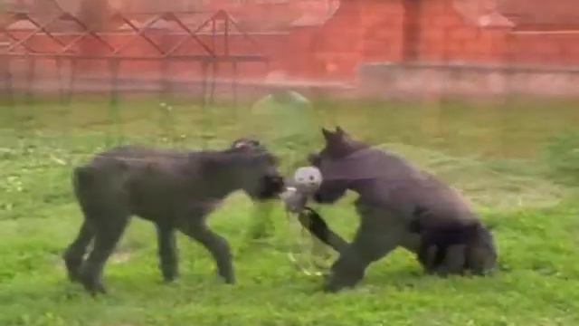 Песенка про лето