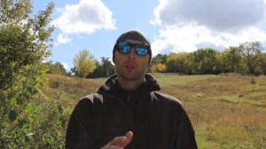 Canon 250d. Лучше звук и качество изображения.