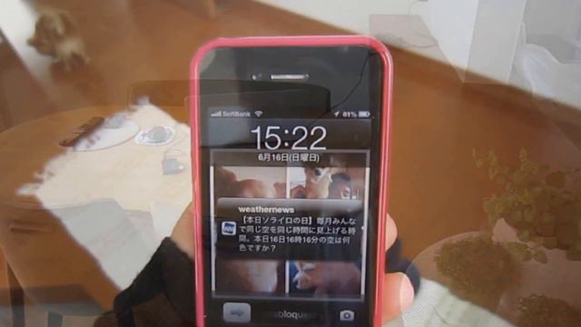 Lavanda Flowers minha vida no Japao EPS 44 смотреть онлайн