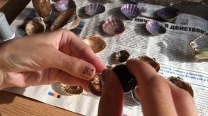 DIY. Что делать с ракушками #1/Покрываем лаком/Из обычной в блестяшку=^.^=