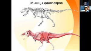 Эволюция. Динозавры. Лекция Ярослава Попова.