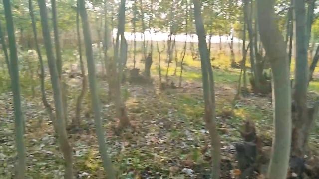 3-5-ОКТЯАБР КУНЛАРИ КУЧЛИ ЁМҒИР ЁҒИШИ КУТИЛМОҚДА, ОБ ХАВО МАЛУМОТИ, ob havo смотреть онлайн