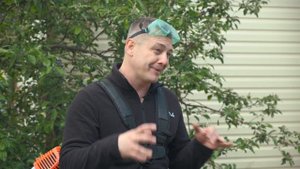 Триммер электрический или бензиновый?