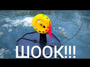 ОНИ ПЕРЕВОРАЧИВАЮТ ЖЕРЛИЦЫ!РЫБАЛКА НА ЖЕРЛИЦЫ! РЫБАЛКА! Весенний ЖОР ЩУКИ!