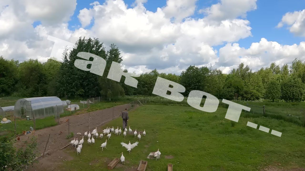 Когда нет новых строек и проЕктов, занимаешься вот такими делами! смотреть онлайн