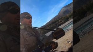 Горная охота на сибирского козерога. Алтай