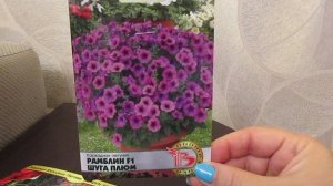 Самые красивые и устойчивые к осадкам петунии.Часть 2