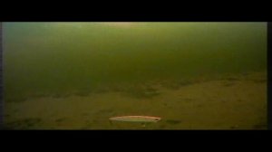 Ратлины с Алиэкспресс. Часть 2-2 .Тест под водой на реке Волга.  Копия ратлина IMA Koume.