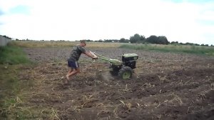 мотоблок зубр 79 пашет.mp4