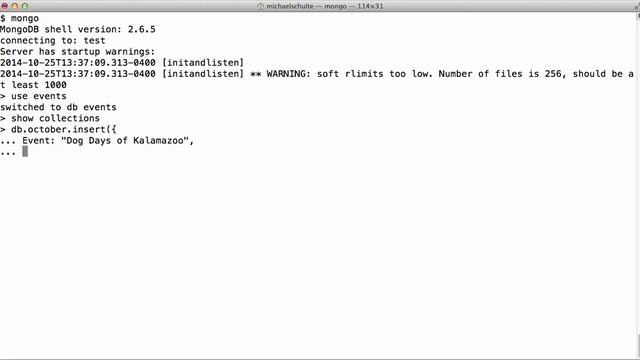 New MongoDB Database and First Record