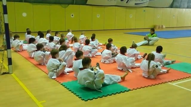 Тхэквондо разминка перед аттестацией смотреть онлайн