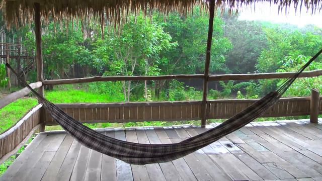 3 CREEPY True Stories at the ZOO Ft. Unit#522 смотреть онлайн