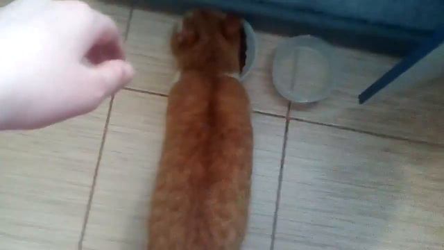 Когда Вася просит есть , но оказуеться там уже лежит еда смотреть онлайн