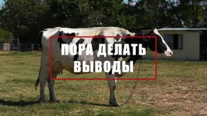 Специальный репортаж «Пора делать выводы»