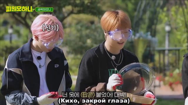 (РУС. САБ.) P1Harmony - Гармония ростков. Серия 3 - Бесконечный челлендж смотреть онлайн