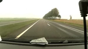 Суровые Белорусские вороны