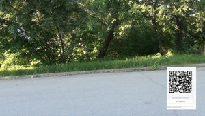 Влог: Всё о работе курьером в ленте + Х5