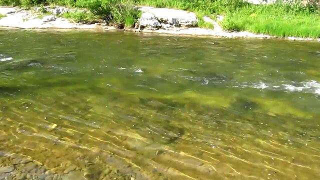 Мрассу в устье Кубансу смотреть онлайн