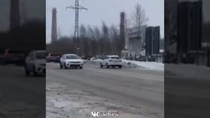 медведь в Кемерово