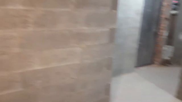 Сделали разводку электропроводки в новой  квартире / Электрика в квартире