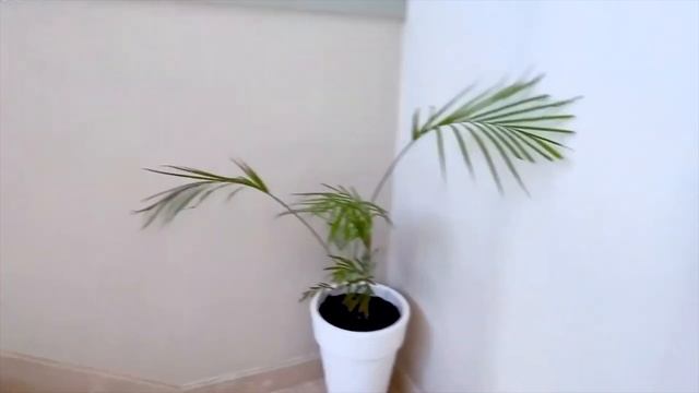 Вилла в дубае ||  Как выглядит вилла за $ 4 млн?