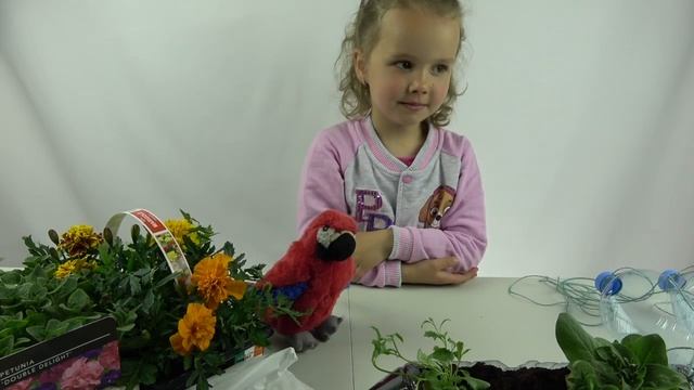 Crafts from plastic bottles. Оформление балкона с помощью пластиковых бутылок.