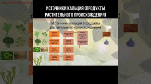 Источники кальция (продукты растительного происхождения) #кальций #питание
