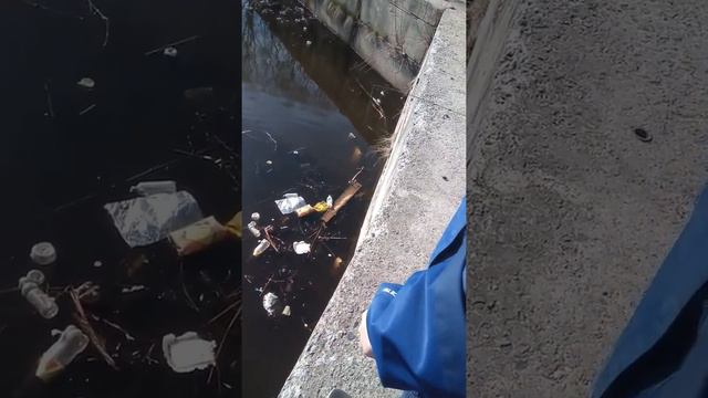 Ловля ротана в отвес на городском прудике смотреть онлайн