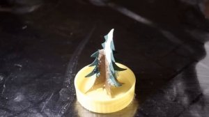 Эксперимент: Как растет елка. Time lapse: 10 часов в одной минуте