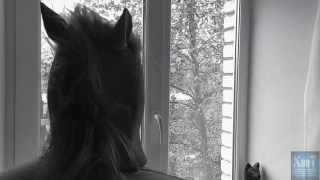 Мышь крадется смотреть онлайн