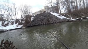 Боковой кивок или поплавок,что эффективнее? Продолжение.