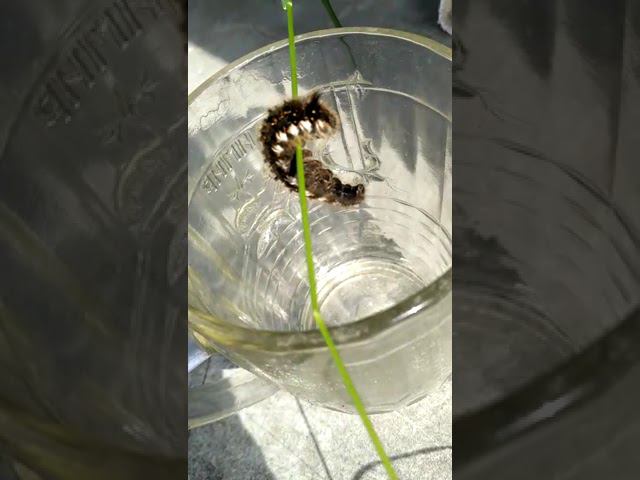 6 июня 2023 г. смотреть онлайн