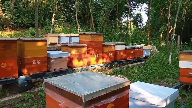 Будем Кормить. Правды Вам не Скажут. смотреть онлайн