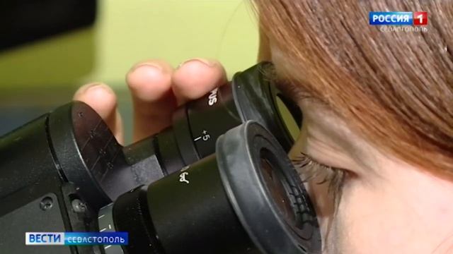 Будущие врачи проводят исследования в лаборатории ИнБЮМ