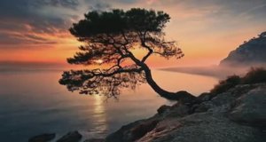 Потрясающее видео, созданное нейросетями. Ген-3 Gen-3 Runway #art #AI #ИИ #нейросеть #арт #арты