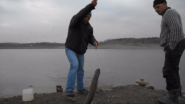 ЛОВЛЯ ЩУКИ НА ЖИВЦА. смотреть онлайн