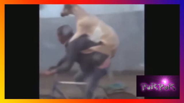 Ха Ха хи! Веселое, Смешное, Интересное! Смотреть до конца! смотреть онлайн